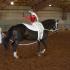 Equine Vaulting Championships Grace the Miller Coliseum